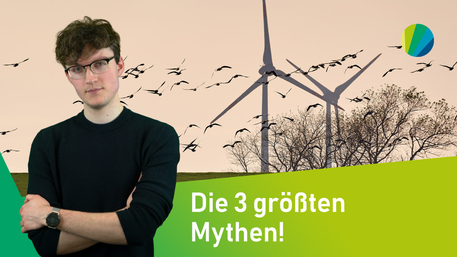 Standbild aus Video: junger Moderator vor Bild von Landschaft mit Windräder und vorbeiziehendem Vogelschwarm mit Titel: Die 3 größten Mythen!